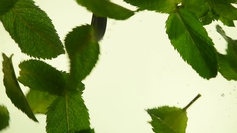 Close up several fresh green mint leaves floating in tea with air bubbles, low angle side view, slow motion