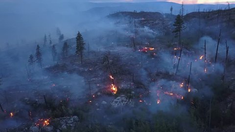 Aerial view of forest fire. Drone shot of wildfire burning and flames from above. Rare view onto flames and smoke at twilight or dawn. Glow, blaze in Canada, BC British Columbia