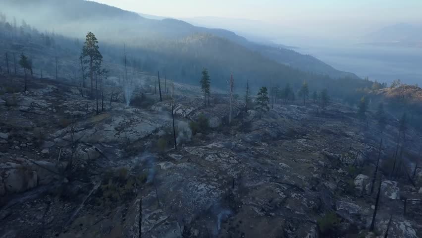 Wildfire aftermath Penticton British Columbia. Dead burned woods, fire and smoke over hills in 4k aerial drone perspective. View over forest at Okanagan lake at sunrise