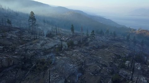 Wildfire aftermath Penticton British Columbia. Dead burned woods, fire and smoke over hills in 4k aerial drone perspective. View over forest at Okanagan lake at sunrise