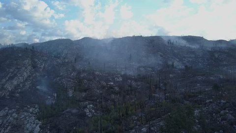 Wildfire smoking like hell. Rare drone view onto forest fire and aftermath.  smoke over dead woods and trees  British Columbia forest fire landscape in aerial view from above.