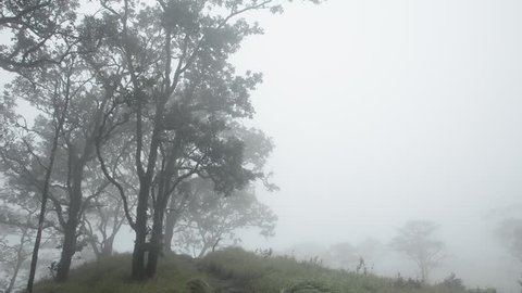The Peak at "Phu Soi Dao" mountain in THAILAND. The land of fog in rainy season