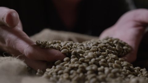 Coffee beans at an independent roaster being prepared by artisan brew master
