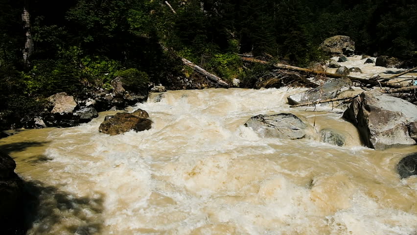 Slow motion dirty mountain river in a forest area. Muddy and fast mountain stream