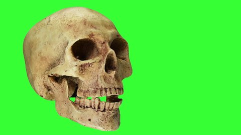 Halloween,Talk skull on green screen background.