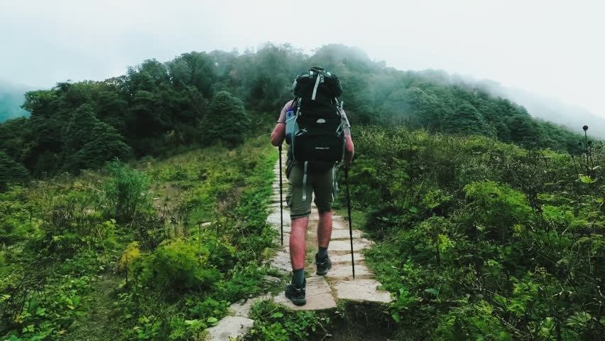 Tourist in the hike walks on path among the forest in Himalayas