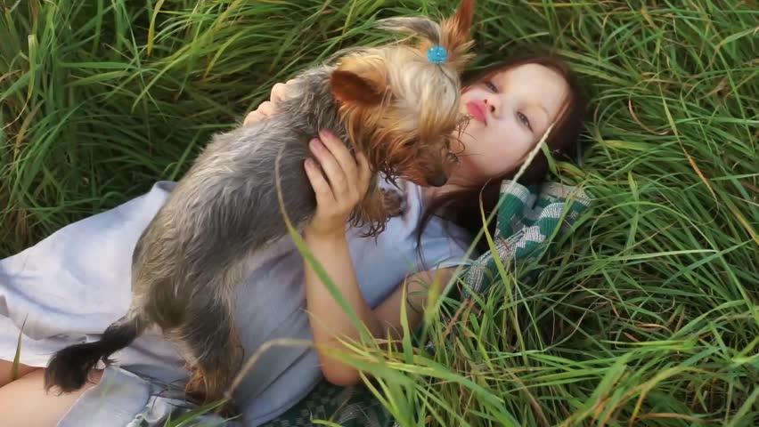 The girl with a small dog.Beautiful child playing with a pet. Cute baby playing with small dog.Girl smiling with a small dog.Beautiful girl fooling around with a small dog