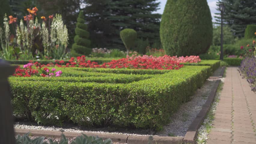 beautiful Park landscape, Sunny summer day