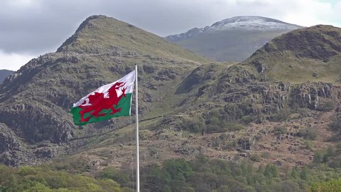 Welsh flag waving in the beautiful landscape of Llanberis, Snowdonia in Wales at the lake padarn.
