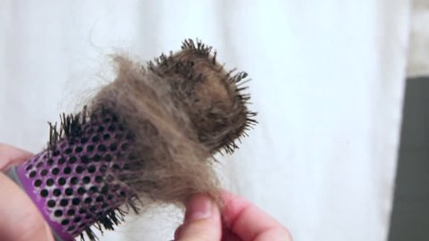 Sped up fast video of a huge clump of shedded hair being pulled out of a hair brush