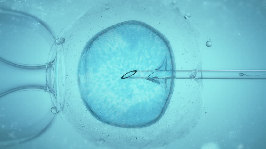 Ivf, In Vitro Fertilisation Through A Microscope, Medicine close-up 4K