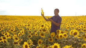 man farmer exploring the field with sunflowers. slow lifestyle motion video. Man lifestyle farmer hand hold bottle of sunflower oil the field at sunset. man farmer agriculture plastic bottle oil