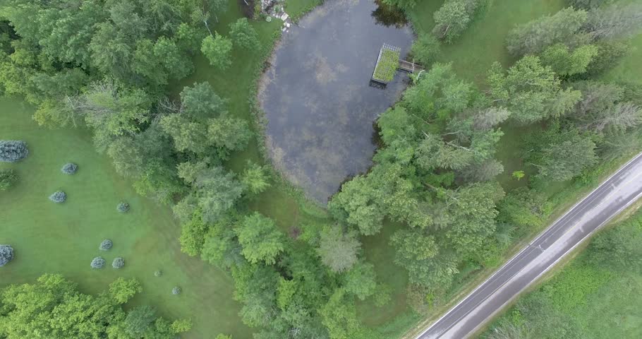 Birdseye view of pond and trees