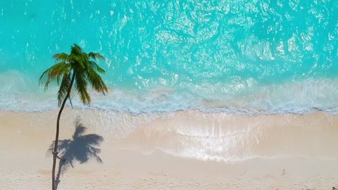 Palm trees on the sandy beach and turquoise ocean from above 