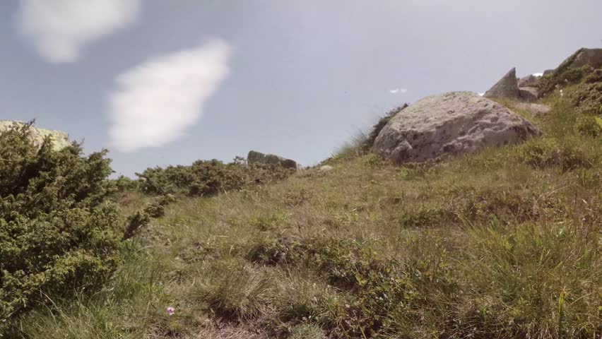 Mountain road leading to a beautiful view