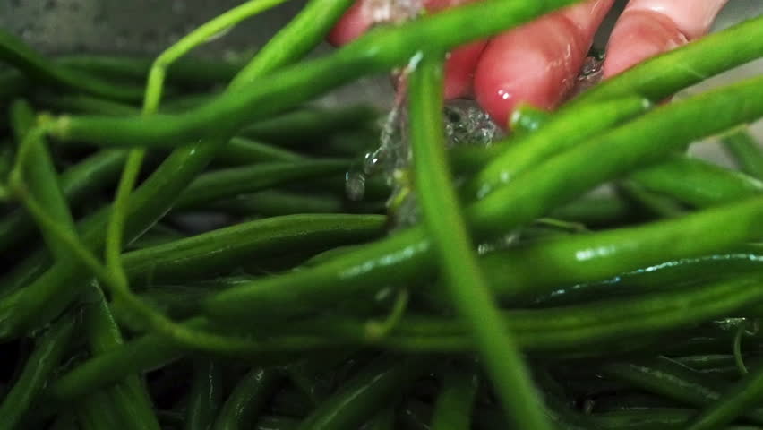 View of female hands washing green beans under running water, metallic color in the background, fresh and healthy food from kitchen-garden, woman preparing vegetables for freezing, harvesting food Royalty-Free Stock Footage #1016058937