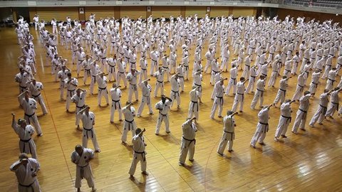 Okinawa, Japan - july 11, 2012: IOGKF World Budo sai. Group of people practicing karate kata.