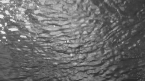 Shiny sunny blurry fresh water background. Underwater view of surface of water in big aquarium tank. Black and white full hd video footage.