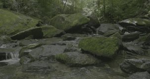 a video of a mountain stream