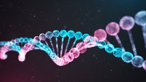 BiColor DNA chain
