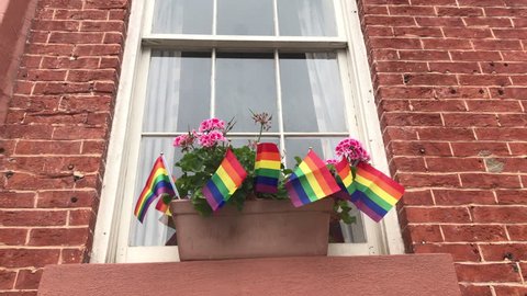 Gay pride Rainbow flags in window box