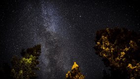 4K Timelapse movie video film of stars moving in night sky over pine trees during perseid meteor shower.