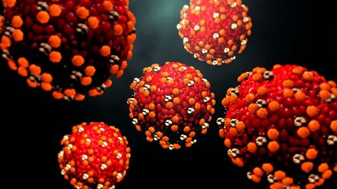 Measles virus or virus in motion