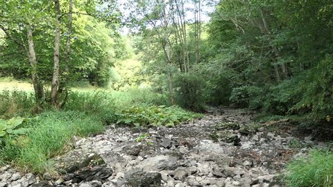 dry Ahrbach (Ahr stream) next to Water Dreimuehlen (three mills) at Vulcan eifel region (Germany). extreme dry summer. rocks with coral fossils of Devonian age.