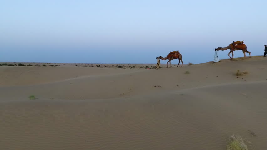 A wide panning shot of men in an Indian desert walking with camels