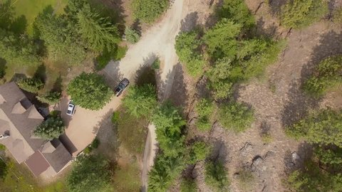 Car drives through forest. Overhead drone shot following the car through the woods. windy dirt road between big trees on a sunny day. Aerial view. 
