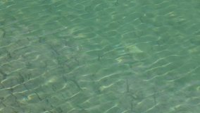 Surface of calm stony river or lake in mountain area with silver fish swimming in it and searching for food among stones. Real time full hd video footage.