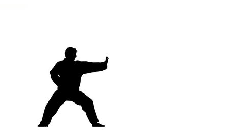 A karate in a black kimono on a white background, clarity and smooth motion, Silhouette, martial arts