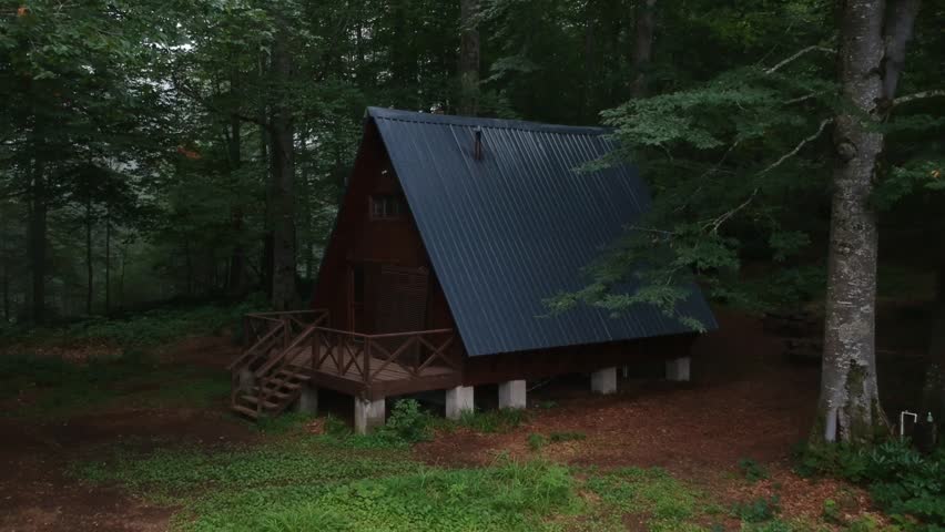 Mtirala National Park in Georgia