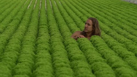 Young man with long hair lies in salad field eating salad