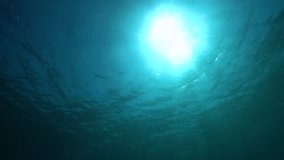 The water surface seen from underwater with bright sunlight and small fish, Mediterranean sea, natural scene