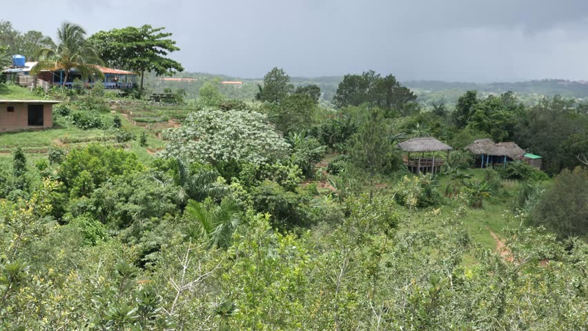 View Of Hills, Mountains, Nature And Cuban Landscape In Traditional Farming Tobacco Farm Vinales, Cuba