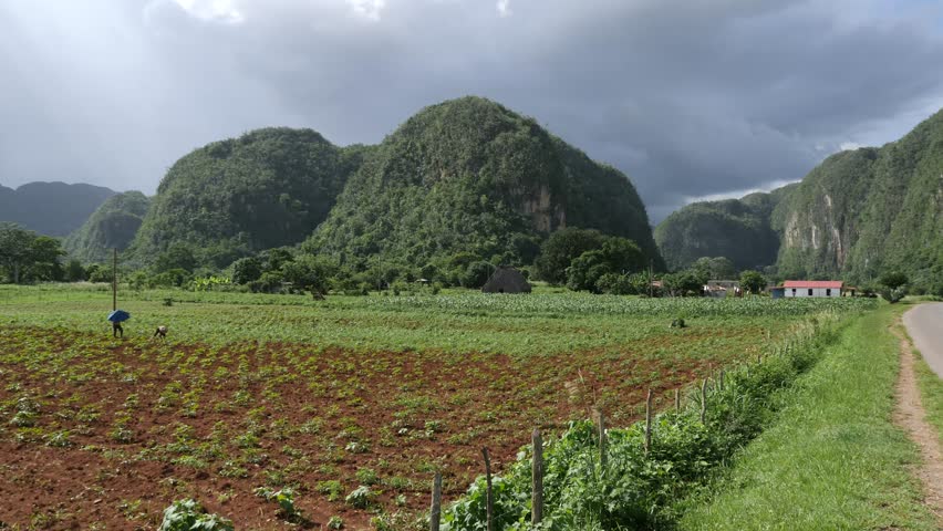 View Of Hills, Mountains, Nature And Cuban Landscape In Traditional Tobacco Farm Vinales, Cuba
