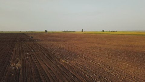 View from the drone to the farm field.