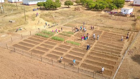 Domboshava, Zimbabwe - 06 24 2018: Domboshava, Zimbabwe - June 2018 - Americans and Zimbabweans work together to build a sustainable garden next to a rural primary school.