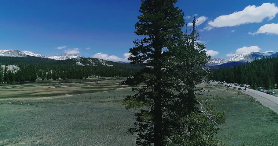 view of the Yosemite National Park and road, flight through the pine