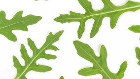 Macro video of fresh rotating green leaves of italian arugula isolated on white background. Rucola salad. Organic healthy diet food. Real time full hd footage.
