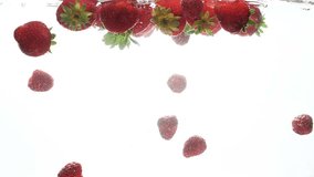 Closeup slow motion video of red ripe berries floating and drowning in clear water against white background