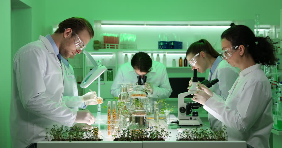 Scientist team. Laboratorium коллаборации. Лаборатория коллаб Торжок. Green Team Laboratory. Человек смотрит в микроскоп медицина.