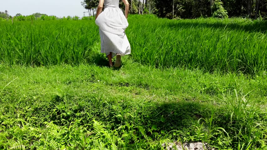 4K aerial drone shot of beautiful young woman in white dress running on a rice field. Bali island. Indonesia.