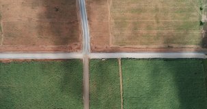 4k footage Aerial view shoot from drone abstract geometric shapes of agricultural parcels of different crops in yellow and green colors. 
