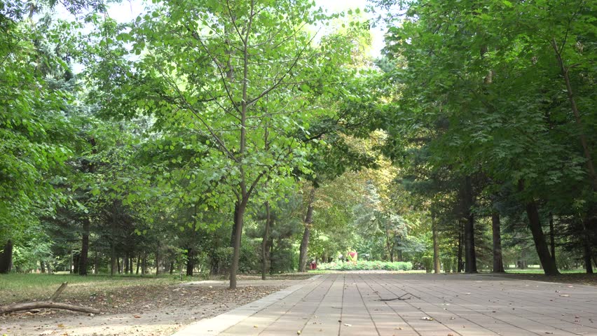 Autumn alley with a flower bed and green trees in a foothill recreation park, Nalchik, North Caucasus