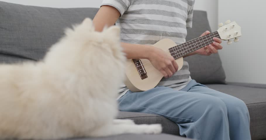 Pet owner play ukulele with her dog