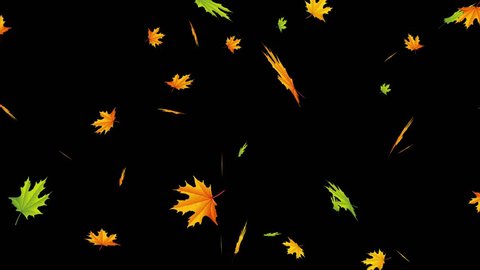 This UltraHD Motion Graphics Item is designed to be used as a leaf fall overlay or as an animated background for titles or logo intros. Loop