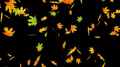 This UltraHD Motion Graphics Item is designed to be used as a leaf fall overlay or as an animated background for titles or logo intros. Loop