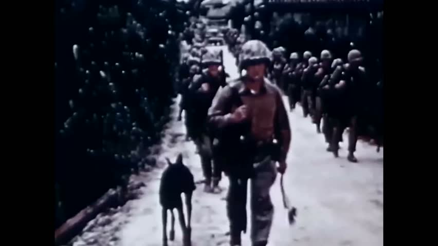 CIRCA 1945 - A US infantry plows through nature's obstacles on Ishikawa. Royalty-Free Stock Footage #1016272663
